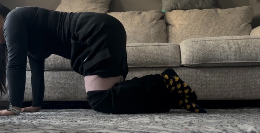 donkey kick starting position/tabletop